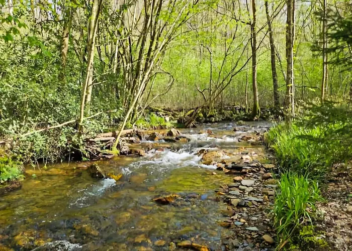 Vue Sur La Meuse Apartment *